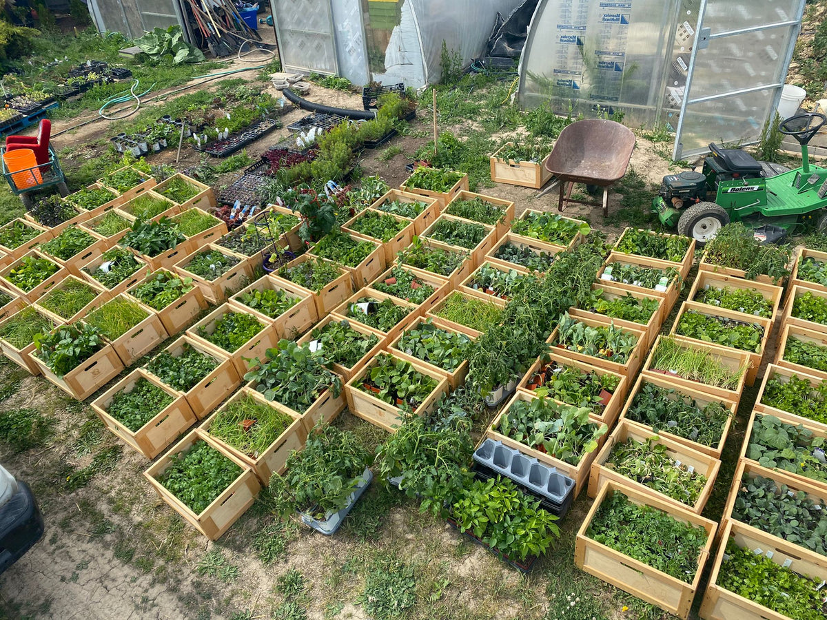 Farming in Niagara: Post Covid – Small Scale Farms