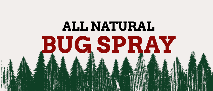 All Natural Bug Spray