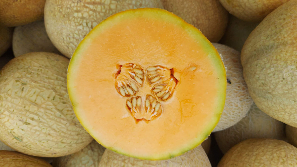 Cantaloupe