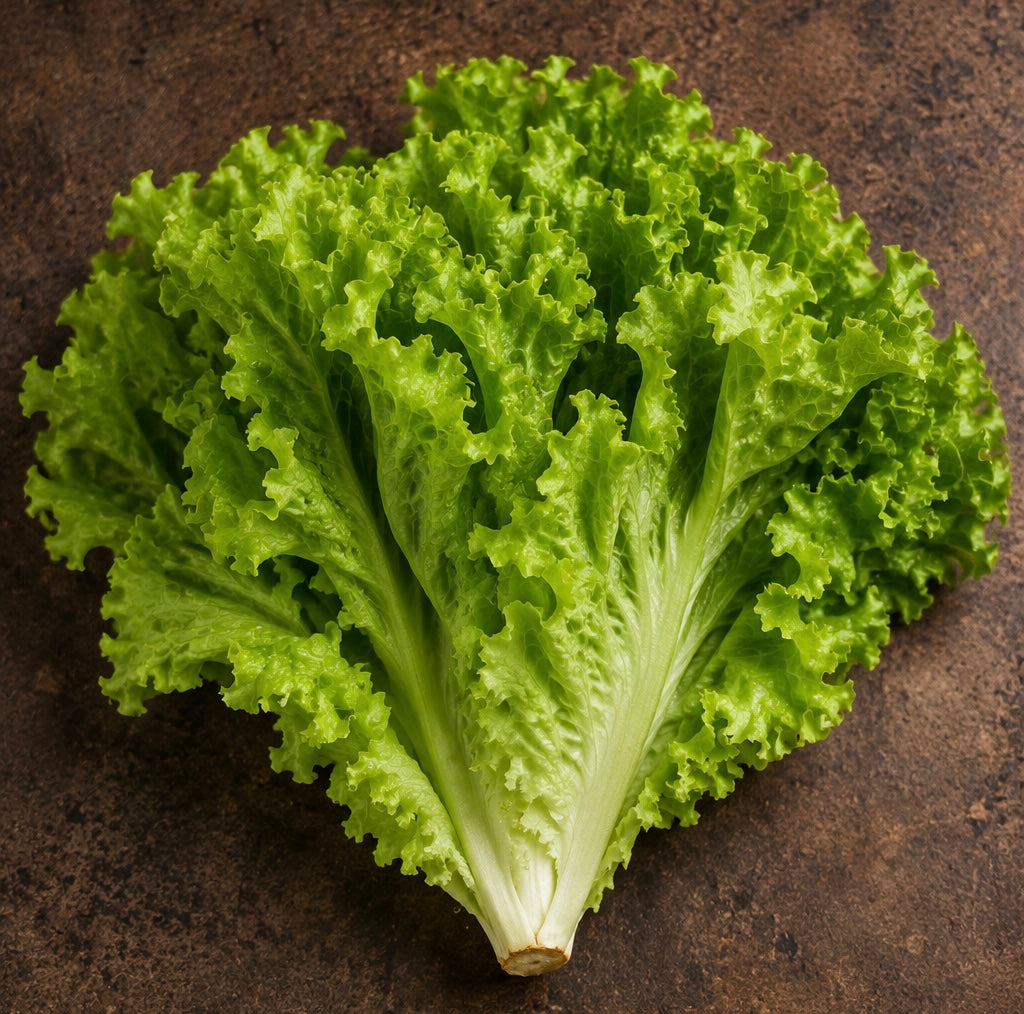 Leaf Lettuce Sale FD