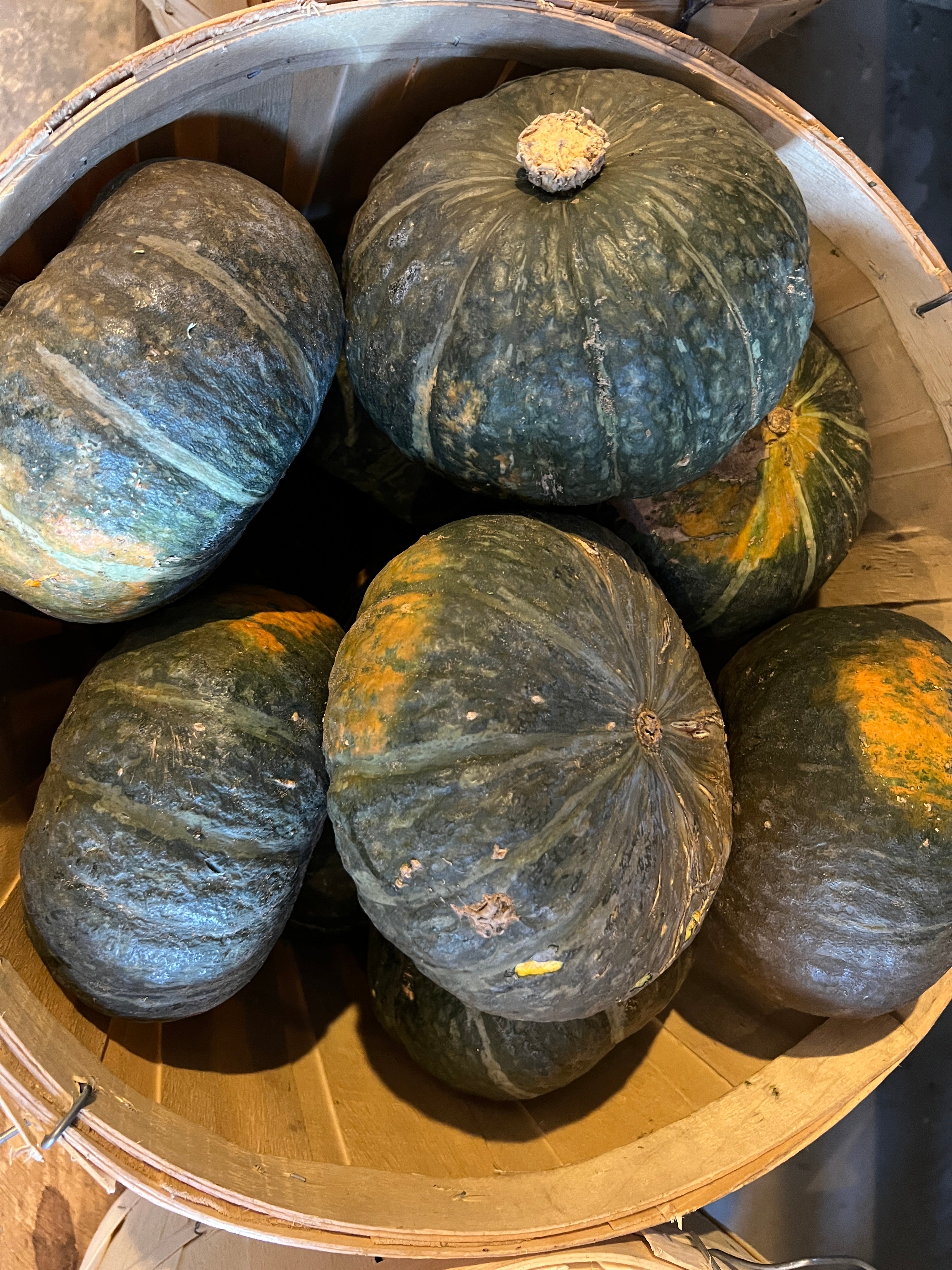 Buttercup Squash $1 off FD