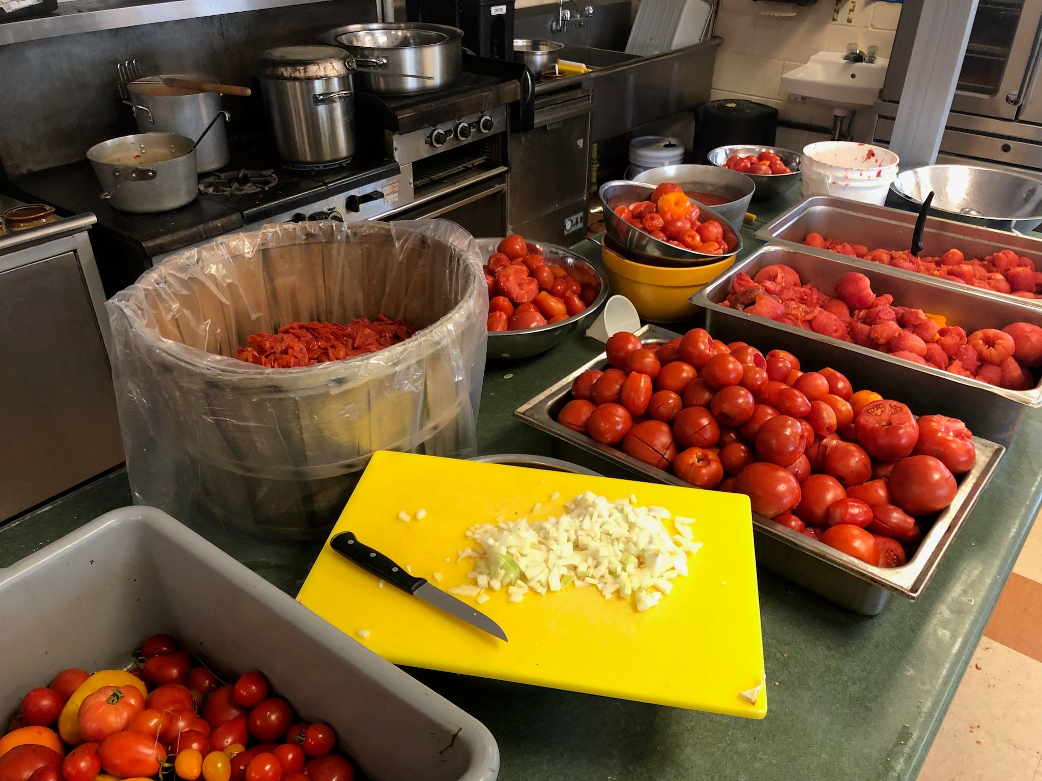 Half Bushel of Roma Tomatoes FD