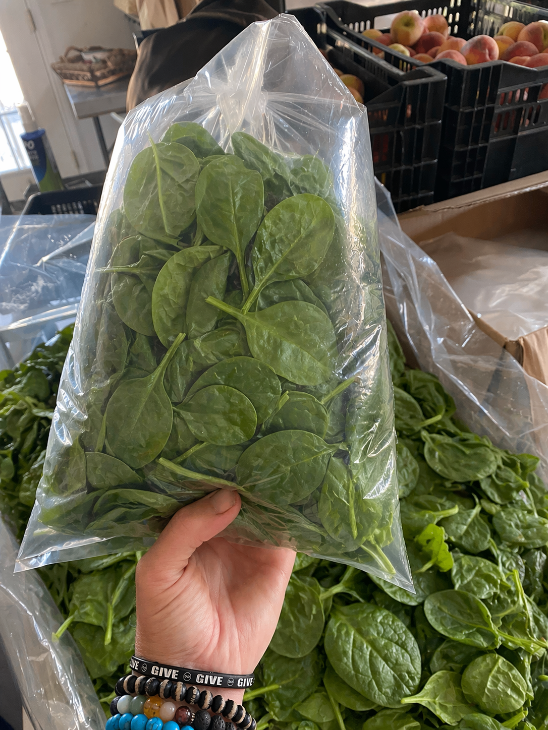 Spinach FD