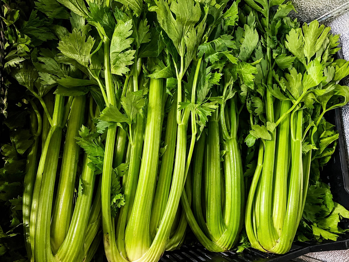 Celery FD