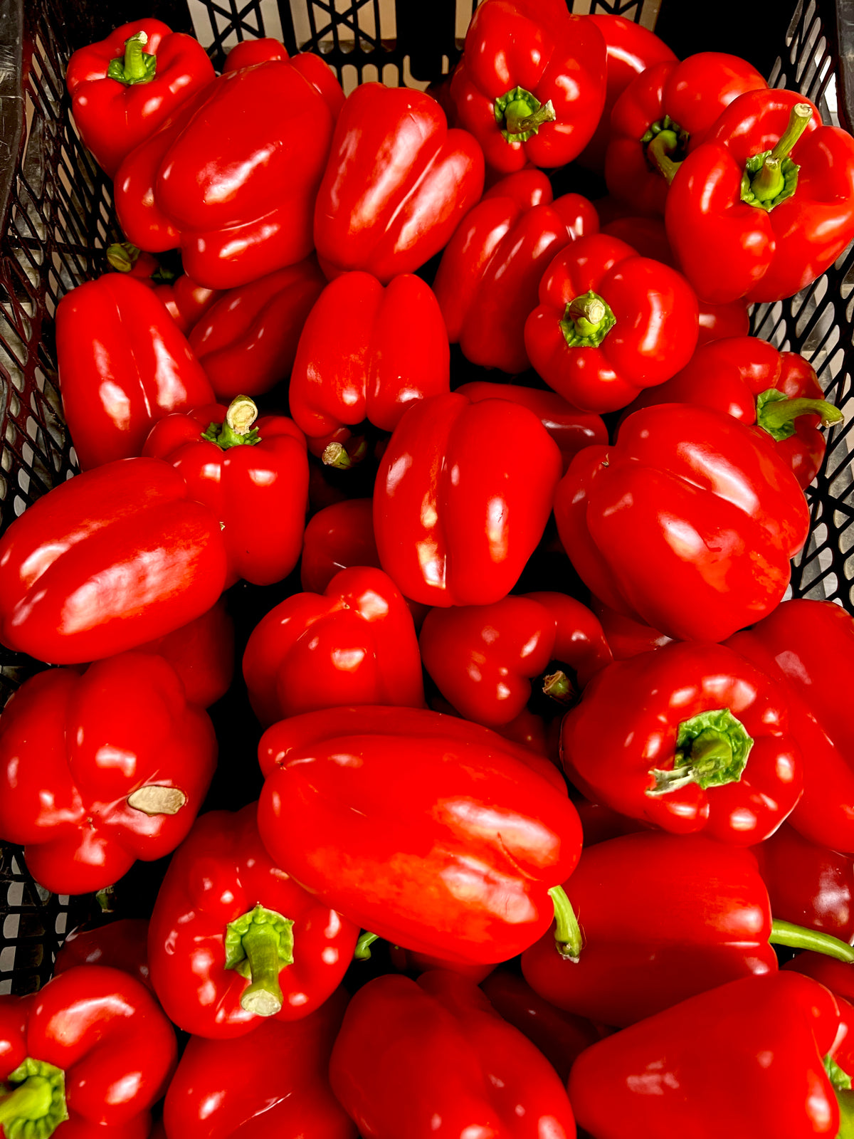 Bell Peppers