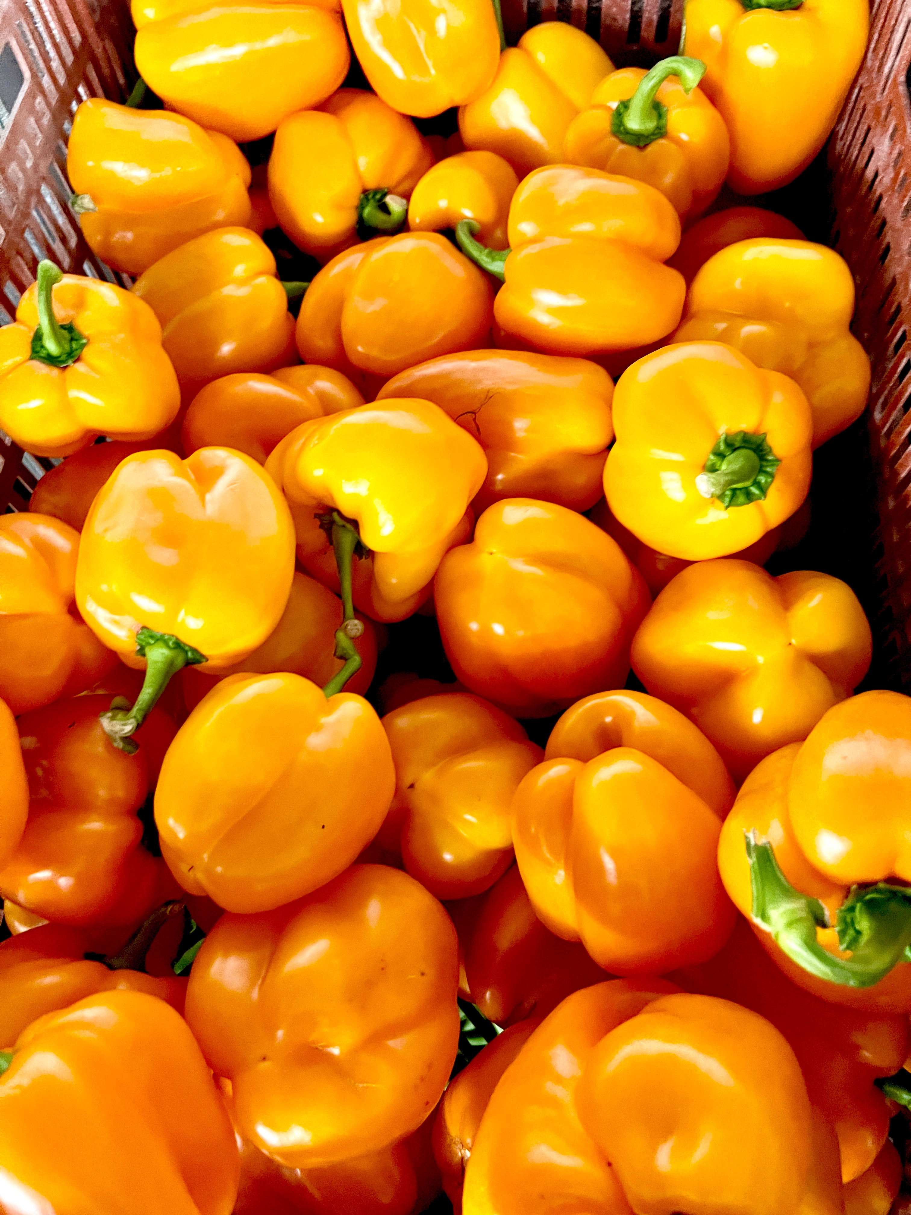 Bell Peppers