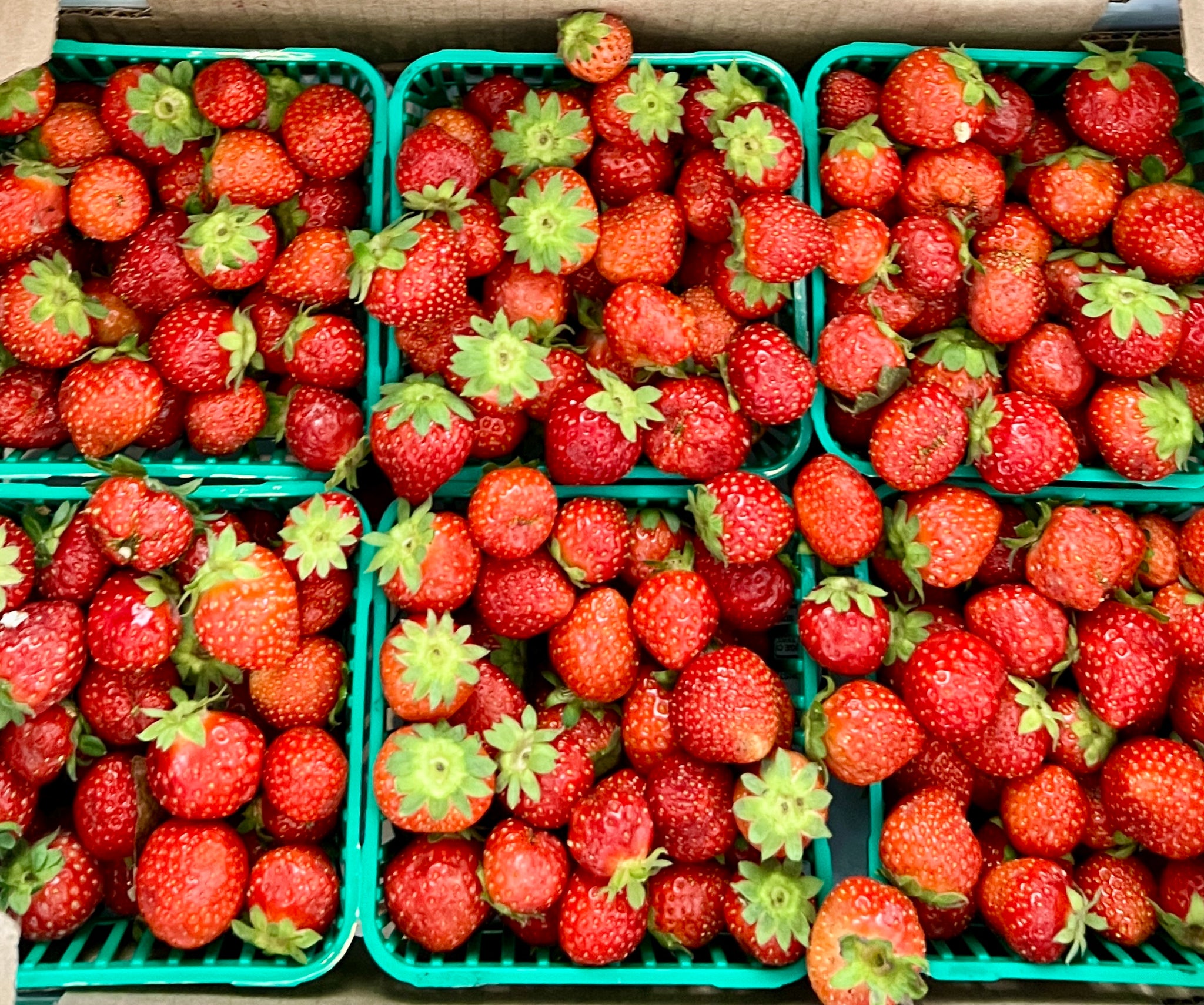 Strawberry Flat FD