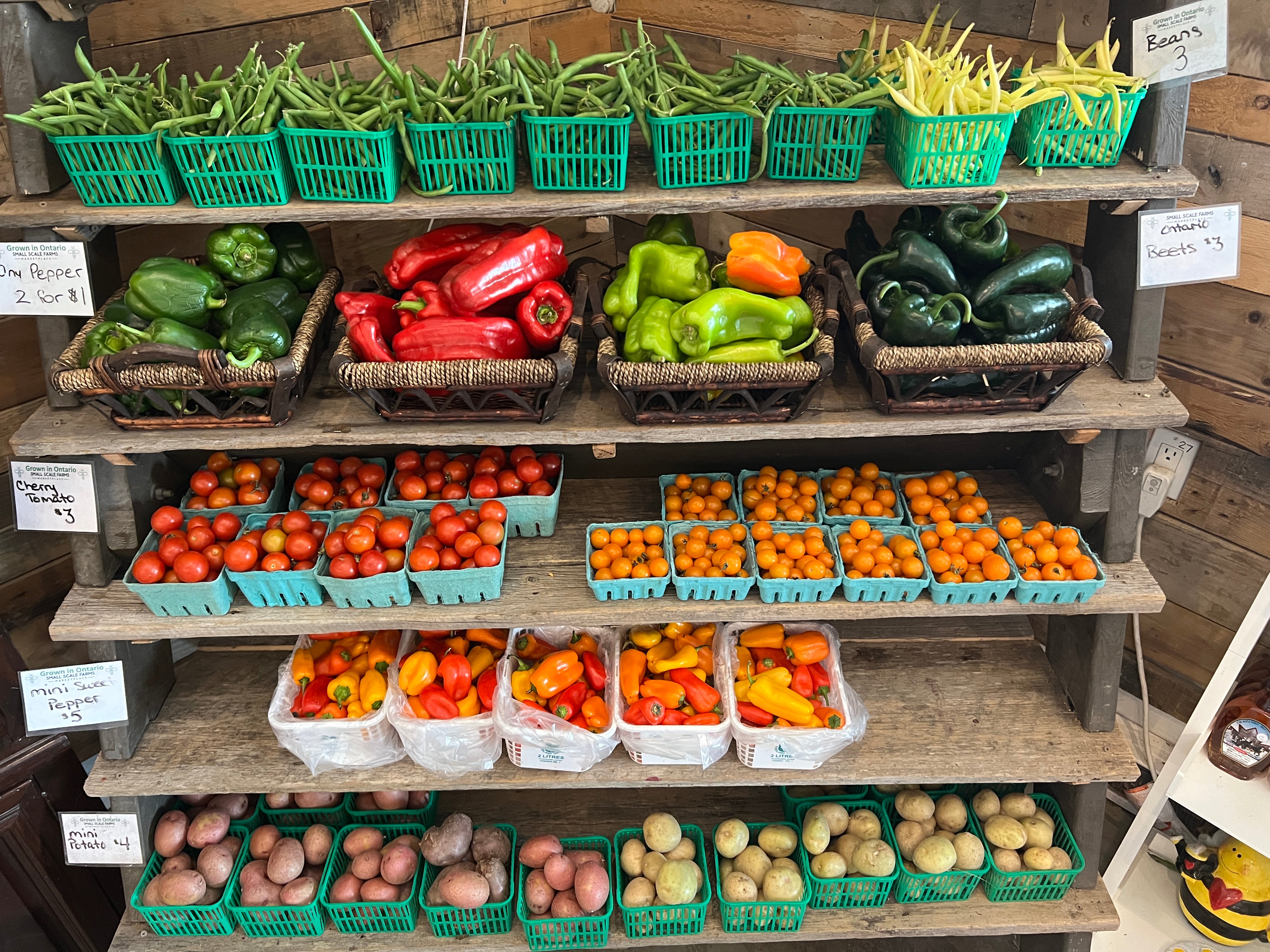 Local Peppers