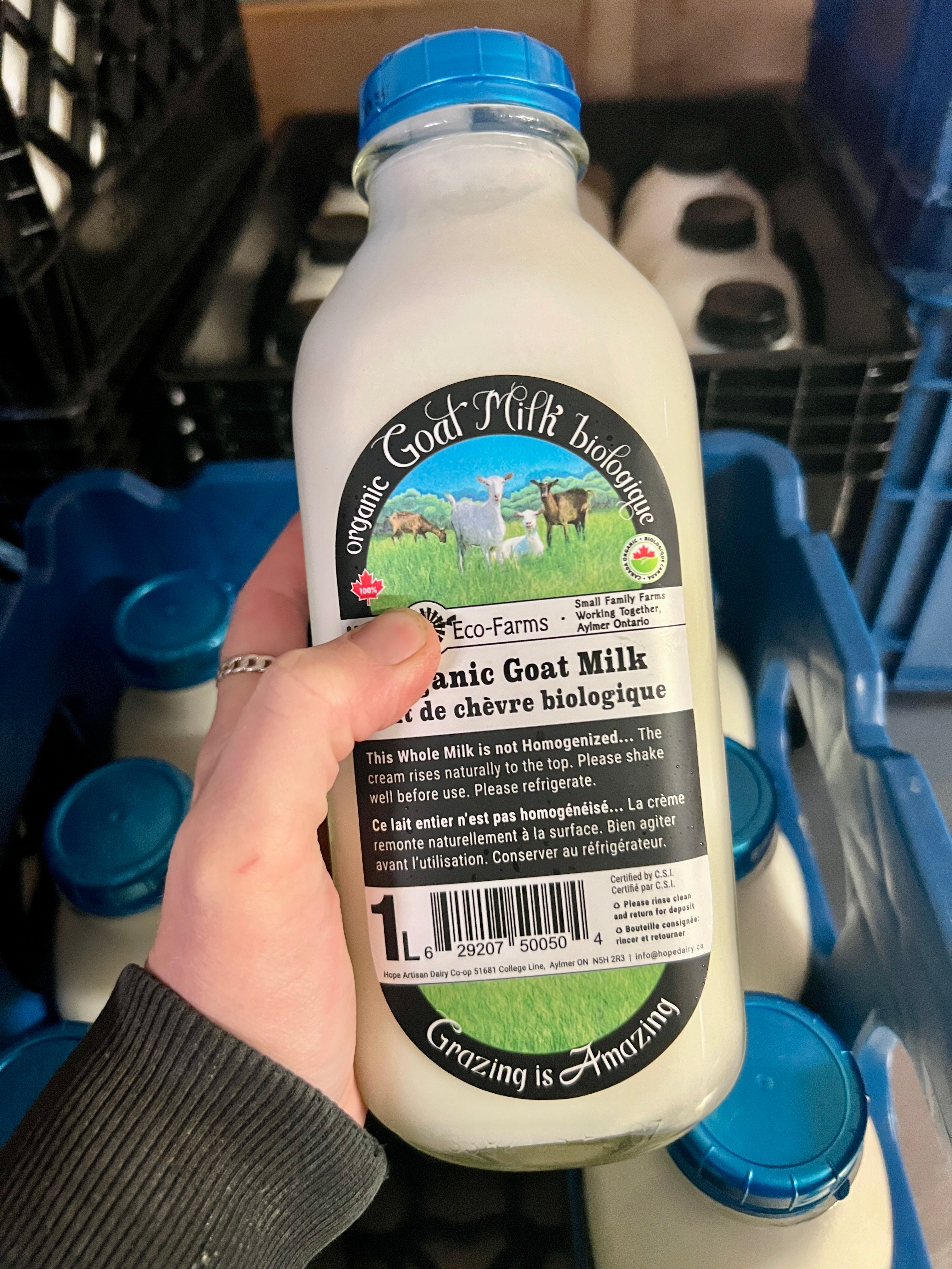Non Homogenized Goat Milk FD