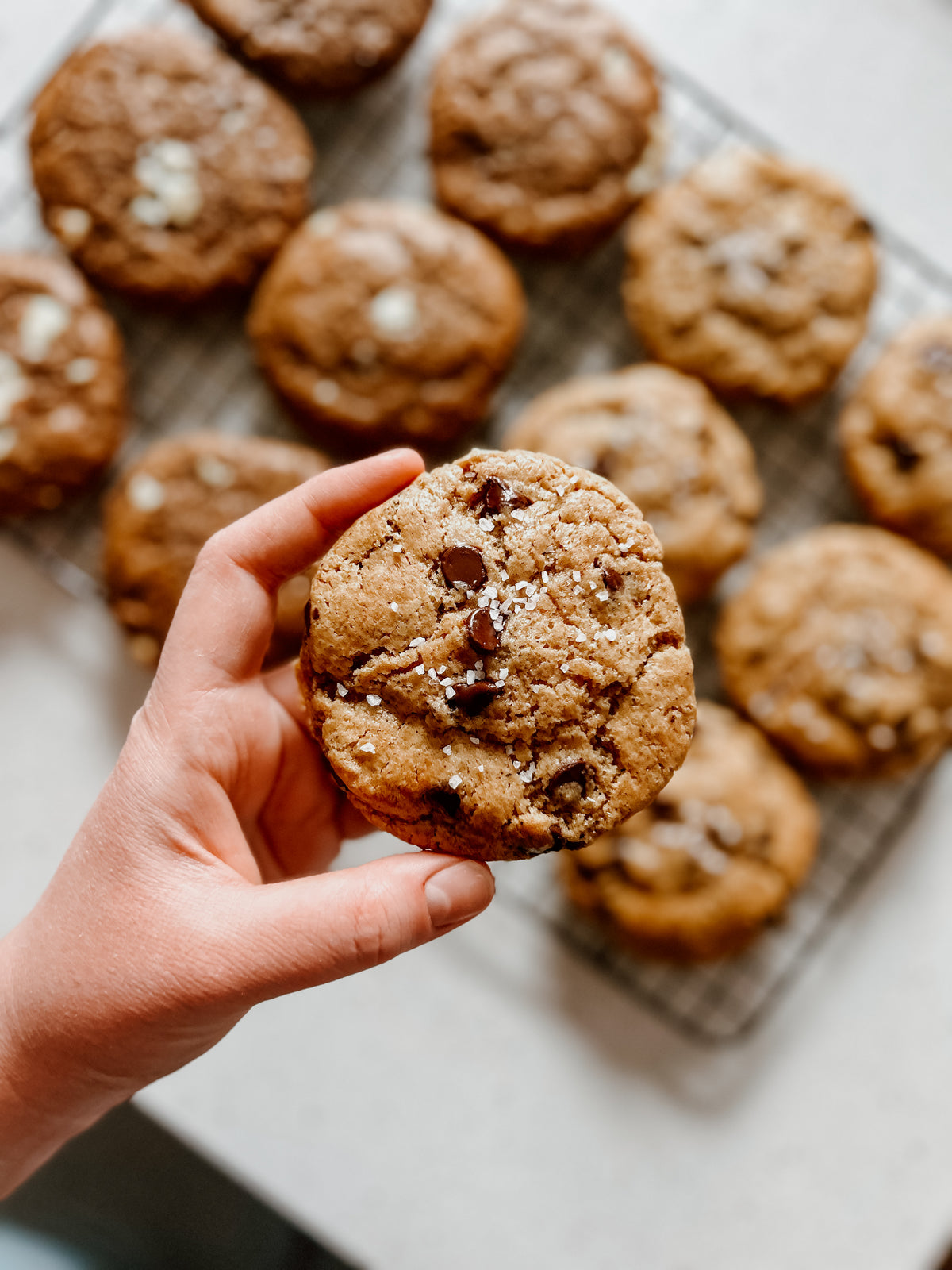 Sourdough Chocolate Chip Cookies