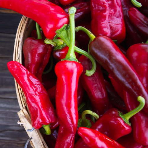 1/2 Bushel Shepherd Peppers FD