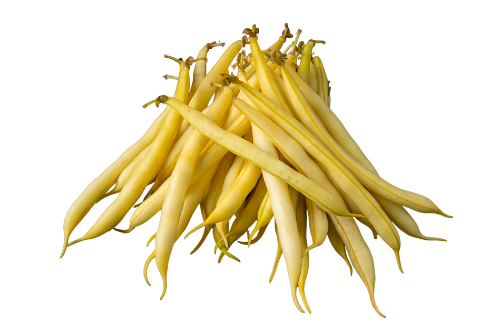Yellow Beans FD