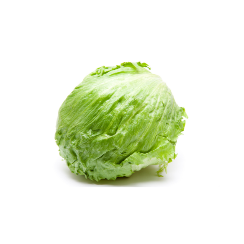 Iceburg Lettuce FD