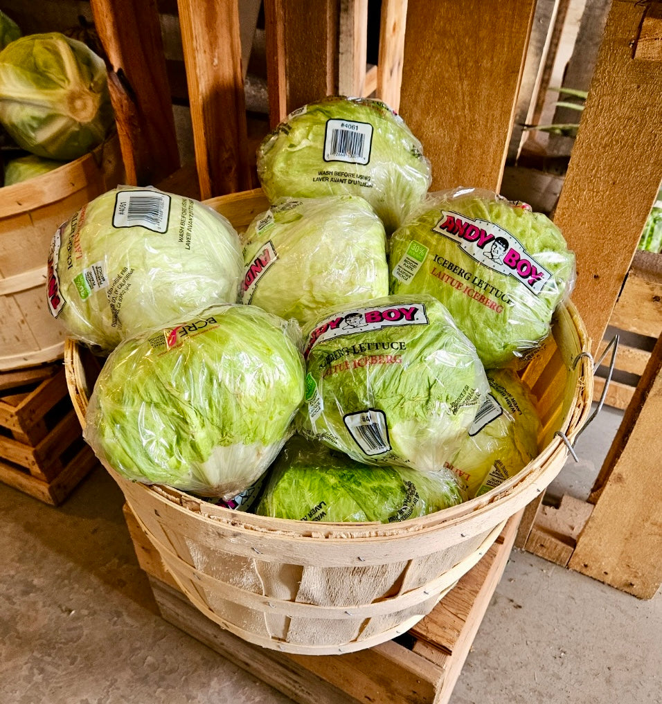 Iceburg Lettuce