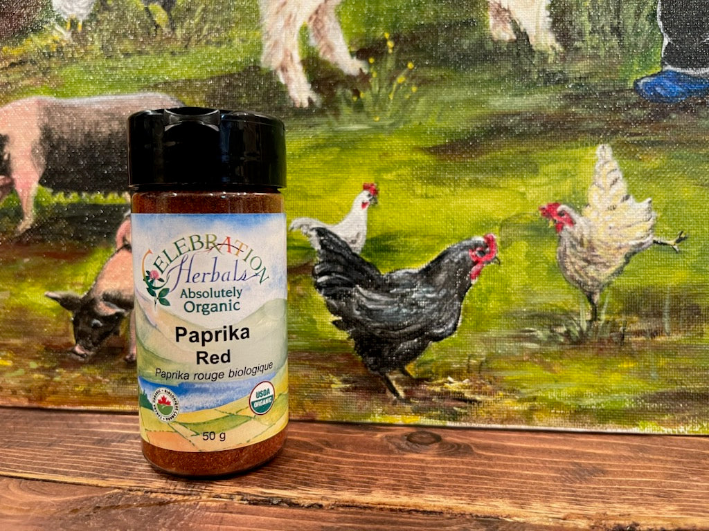 Pasture Raised All Chicken Bag FD