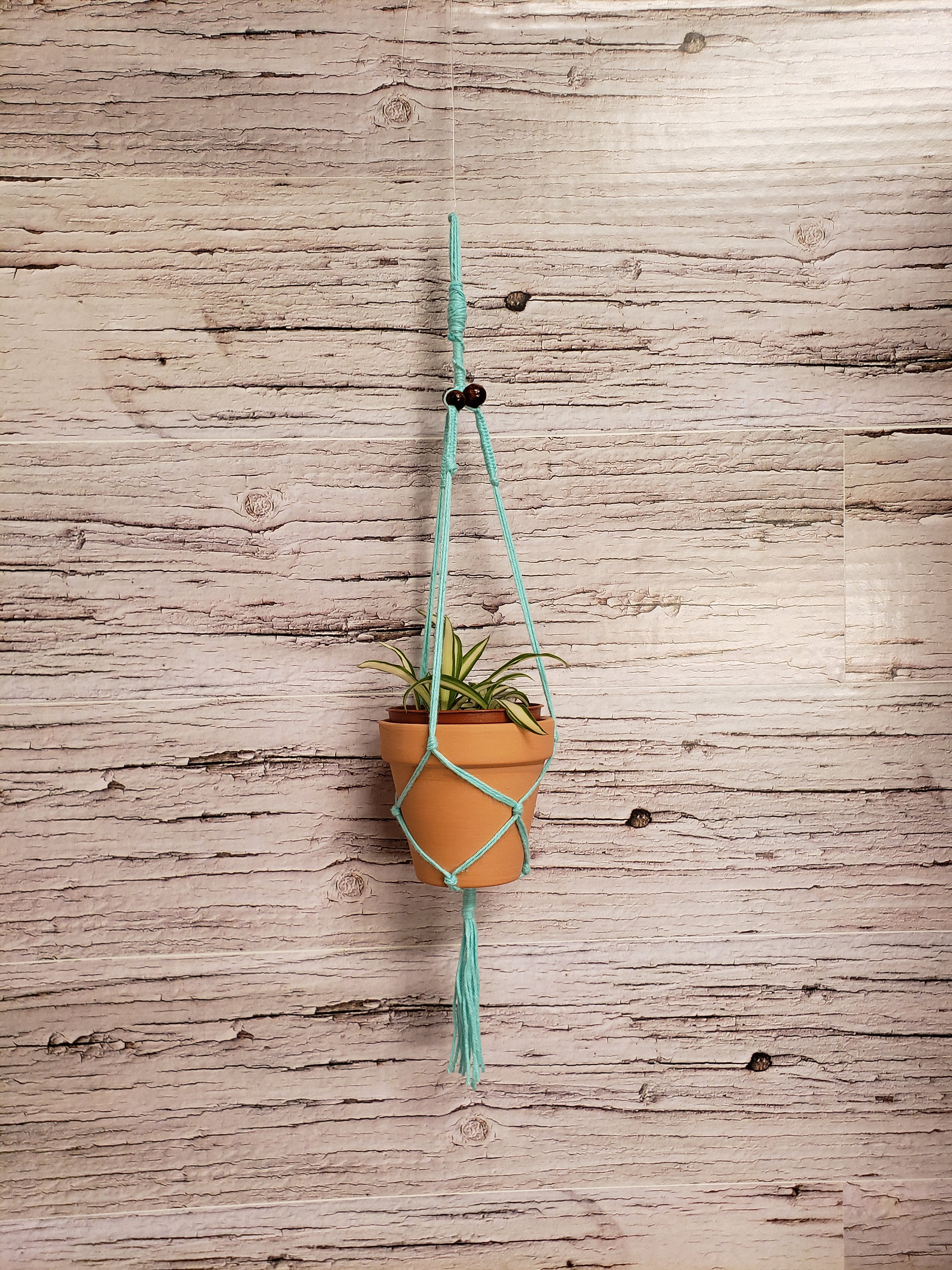 macrame plant hanger mini Mini Macrame Plant Hanger with 2" Pot – Small Scale Farms