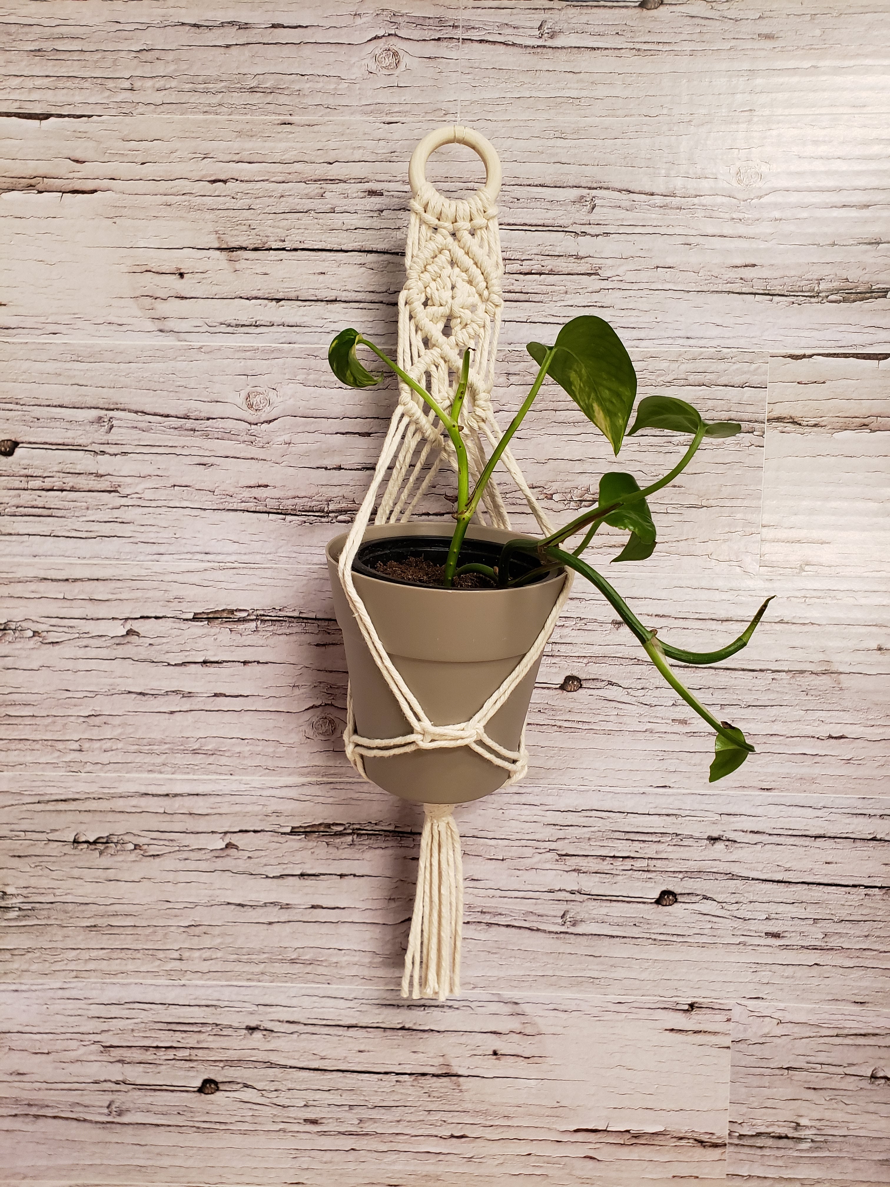 macrame mini plant hanger Mini Macrame Plant Hanger with 4" Pot – Small Scale Farms