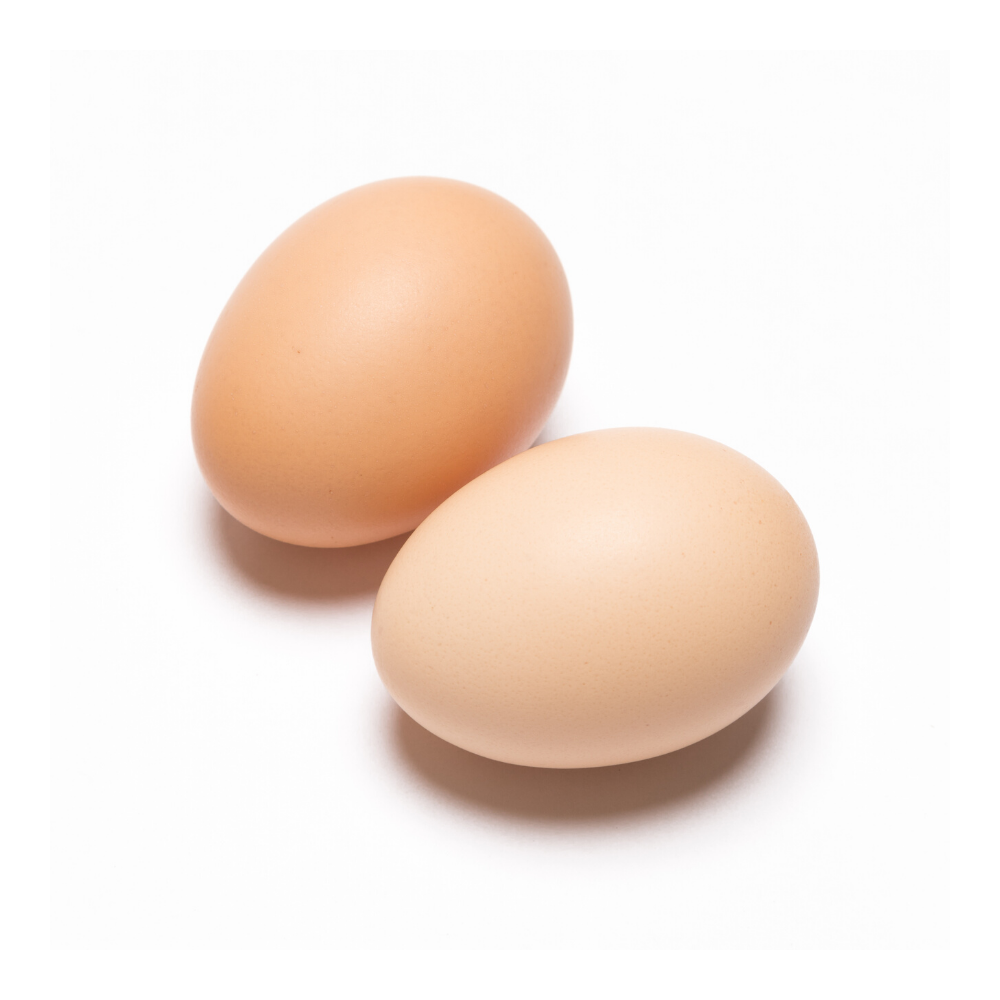 Farm Fresh Eggs – Small Scale Farms