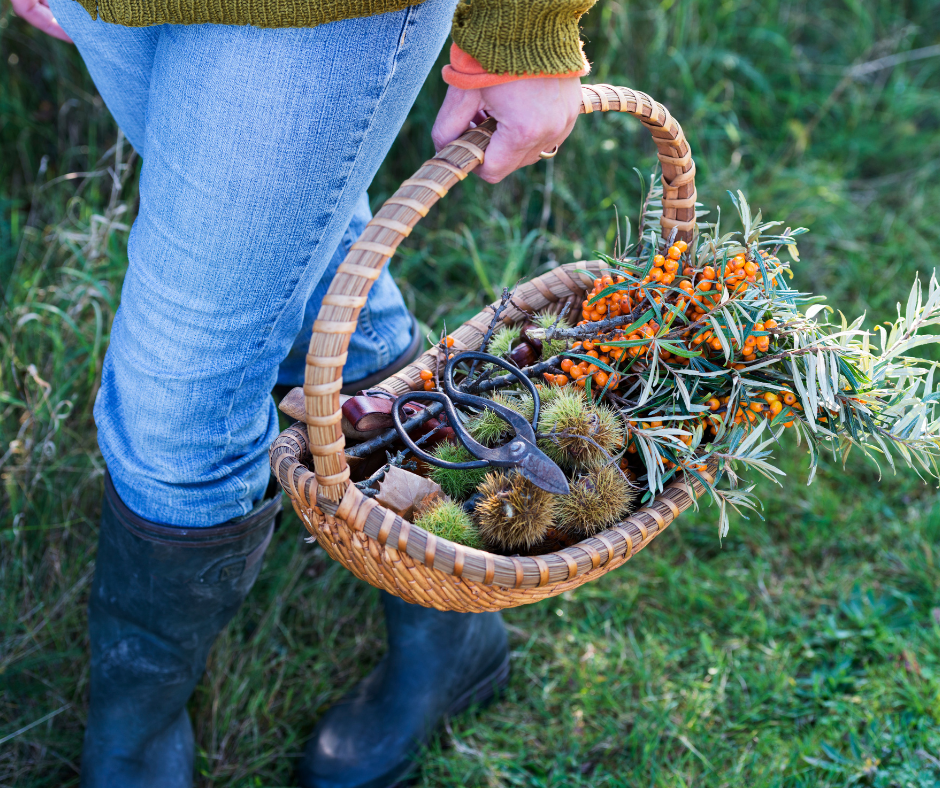 Land Based Learning: Rewilding – Small Scale Farms